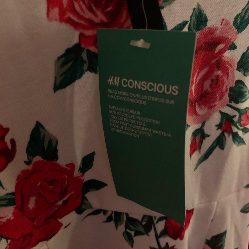H&M DRESS - Picture 10 of 12